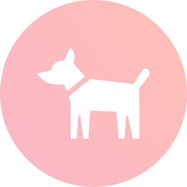 ペット同伴撮影