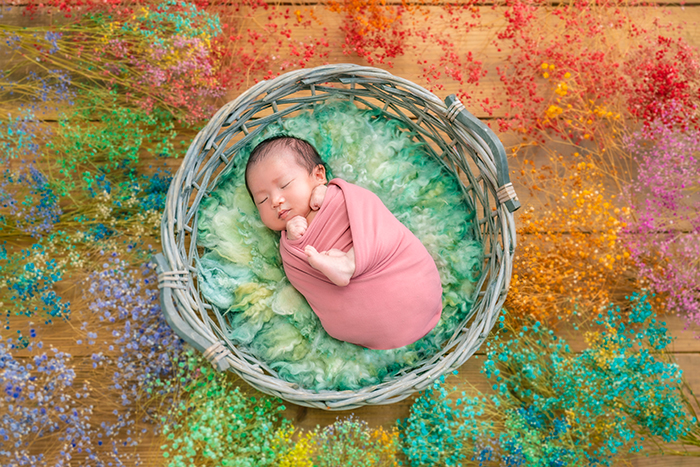 可愛い衣装と小物が充実